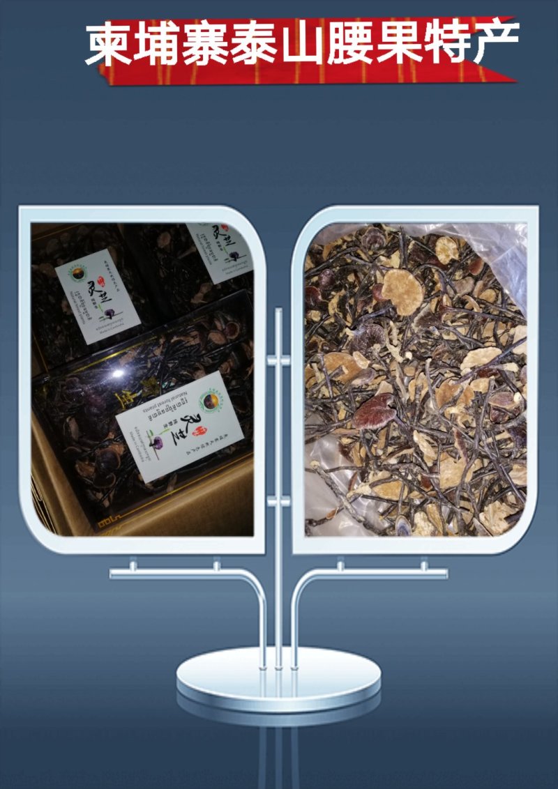 【包邮】一手货源柬埔寨精选大朵红灵芝竹灵芝〈新货上市〉