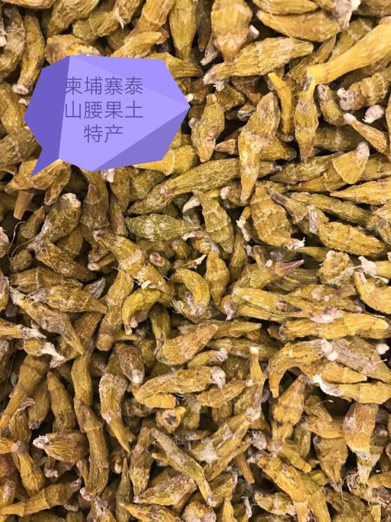 【包邮】柬埔寨野生虎牙石斛品质保证线上交易