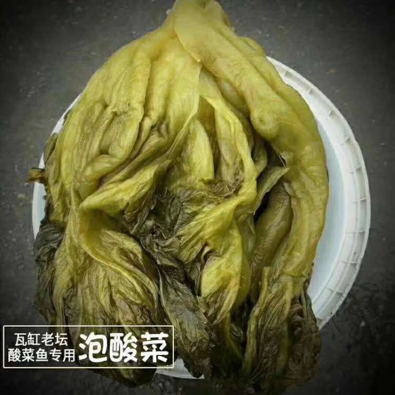 酸菜老坛老盐水泡足380天