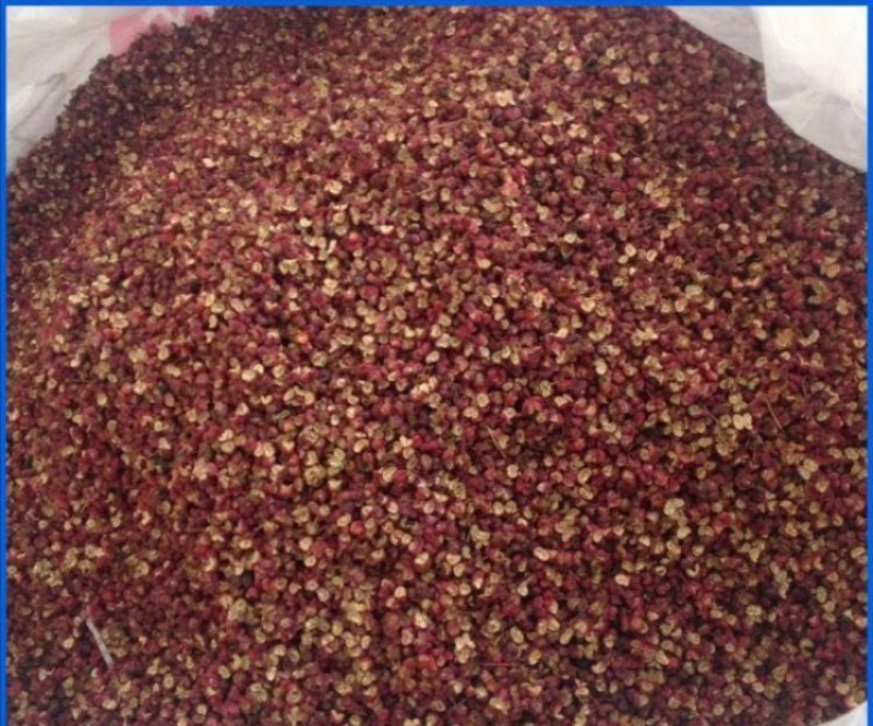茂汶花椒特级，只卖正品纯货，不卖参杂货