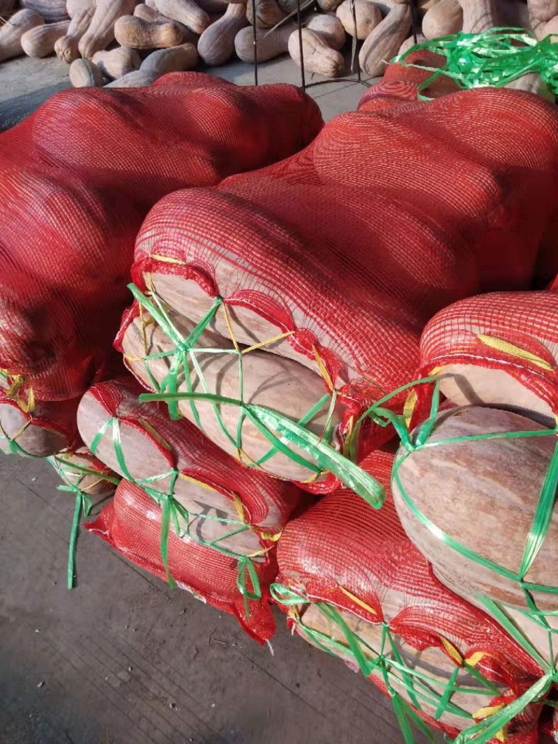 蜜本南瓜【河南千亩基地直供高质量高标准】