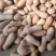 蜜本南瓜【河南千亩基地直供高质量高标准】