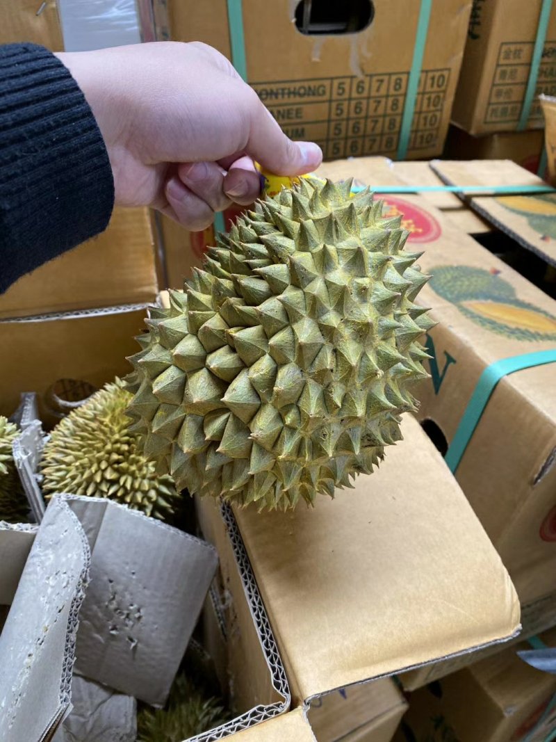 正宗泰国金枕头榴莲a果甜糯榴莲热销款肉多核小
