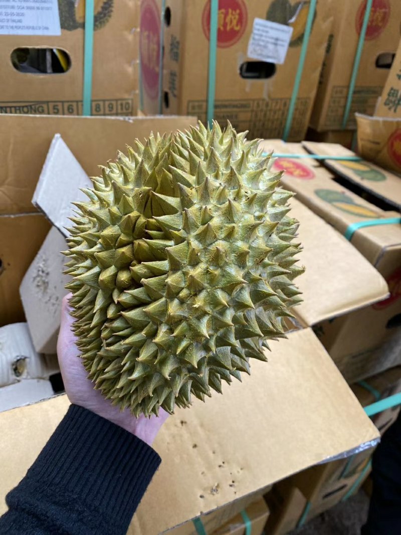 正宗泰国金枕头榴莲a果甜糯榴莲热销款肉多核小