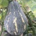 香芋南瓜【河南开封千亩基地直供高质量高标准】