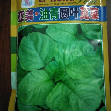 亚美油青圆叶苋菜种子