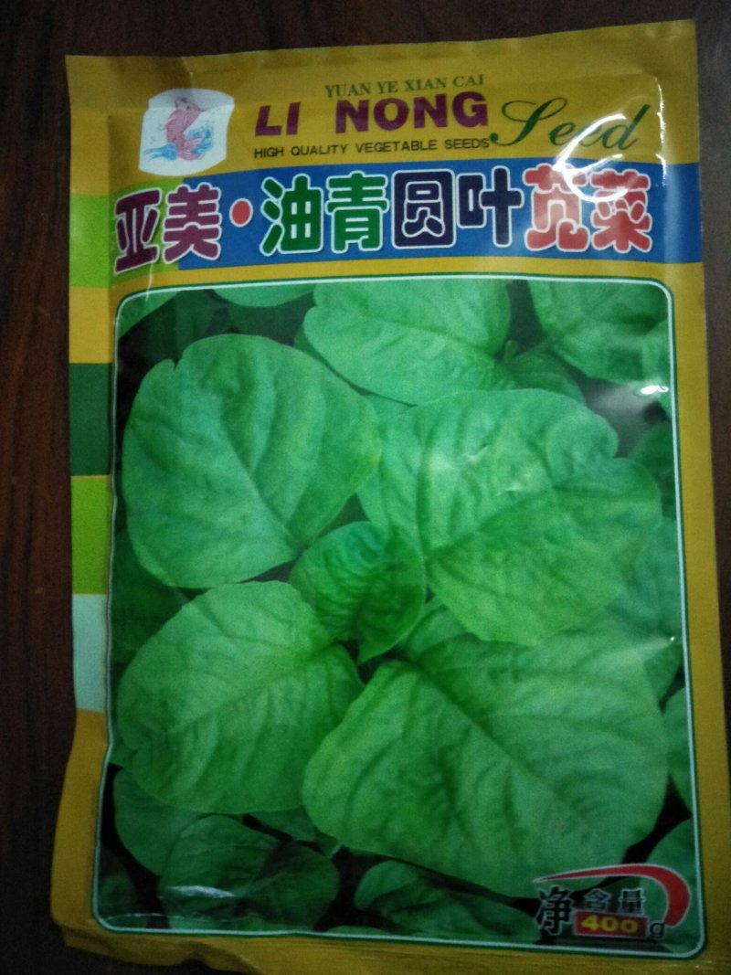 亚美油青圆叶苋菜种子