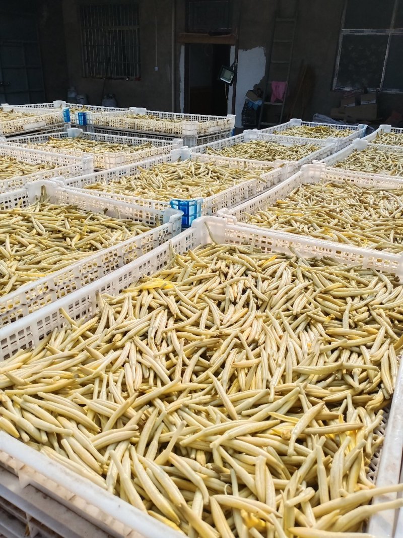 陕西大荔黄花菜常年供应各价位优质黄花菜产地批发