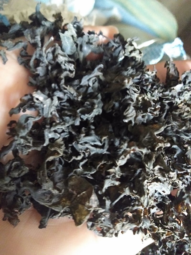 地皮菜靓货宁夏地皮菜，长年批发，过筛毛货没杂质干净。