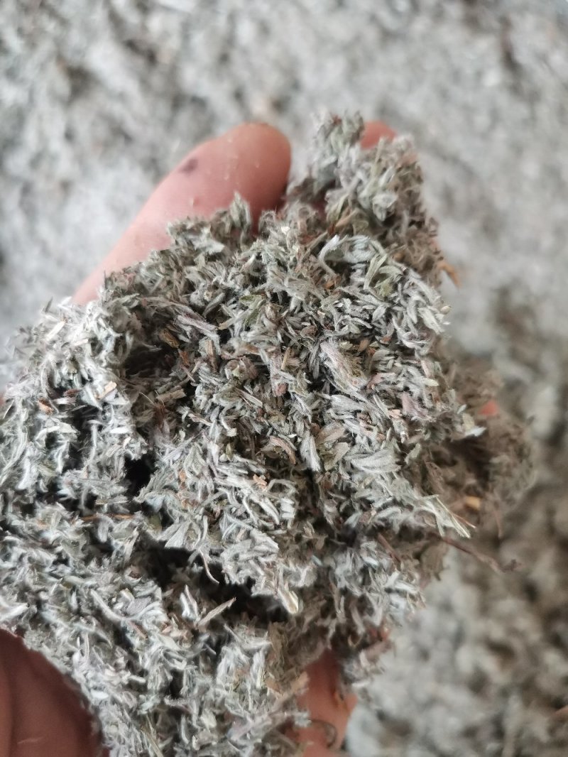 茵陈绵茵陈三月茵陈干货干净无杂一公斤起