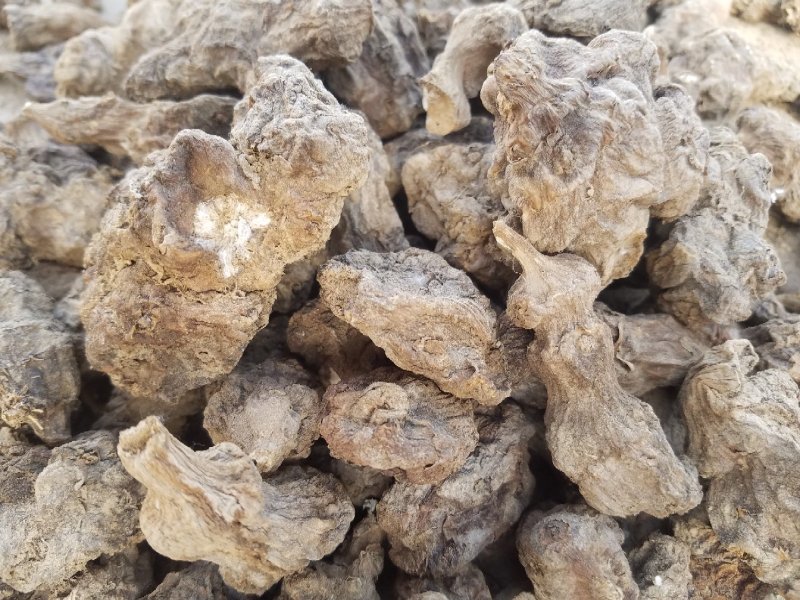 洋姜干菊芋干鬼子姜干干洋姜整颗自然风干酱菜打粉