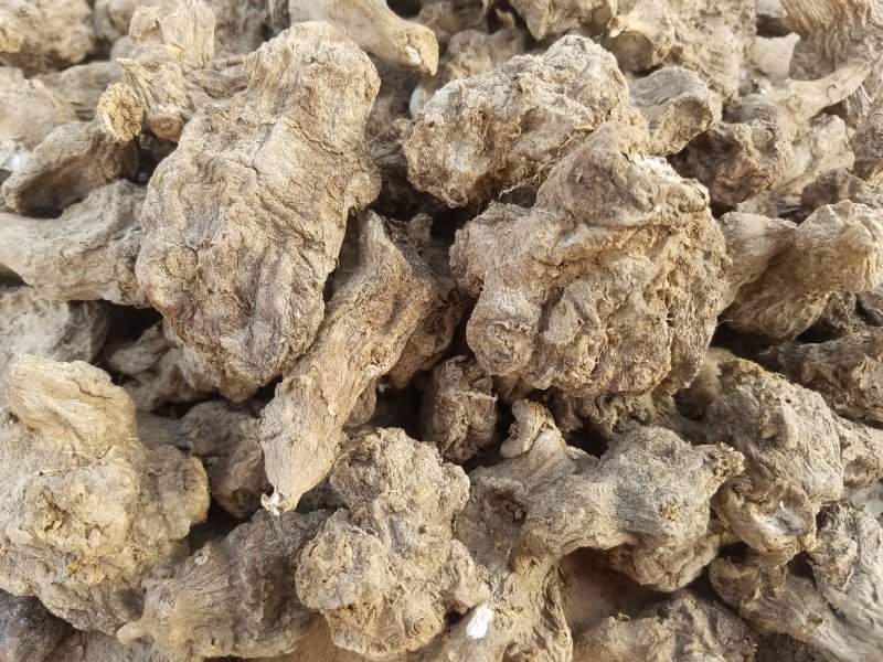 洋姜干菊芋干鬼子姜干干洋姜整颗自然风干酱菜打粉
