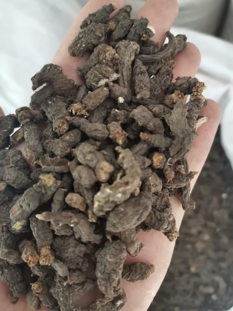 天葵子湖南正品无硫干货干净无杂一公斤起包邮