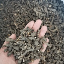 天葵子湖南正品无硫干货干净无杂一公斤起包邮