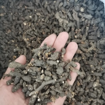 天葵子湖南正品无硫干货干净无杂一公斤起包邮