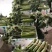 大量提供各种蔬菜
