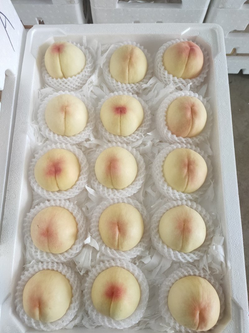 水蜜桃