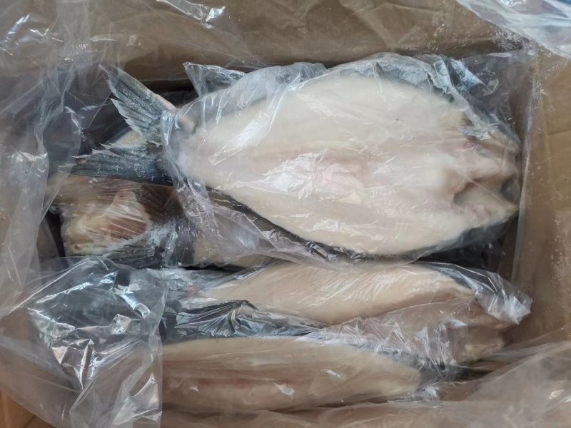 开背鱼质量好价格低非常棒，口感嫩香有劲道杠杠滴