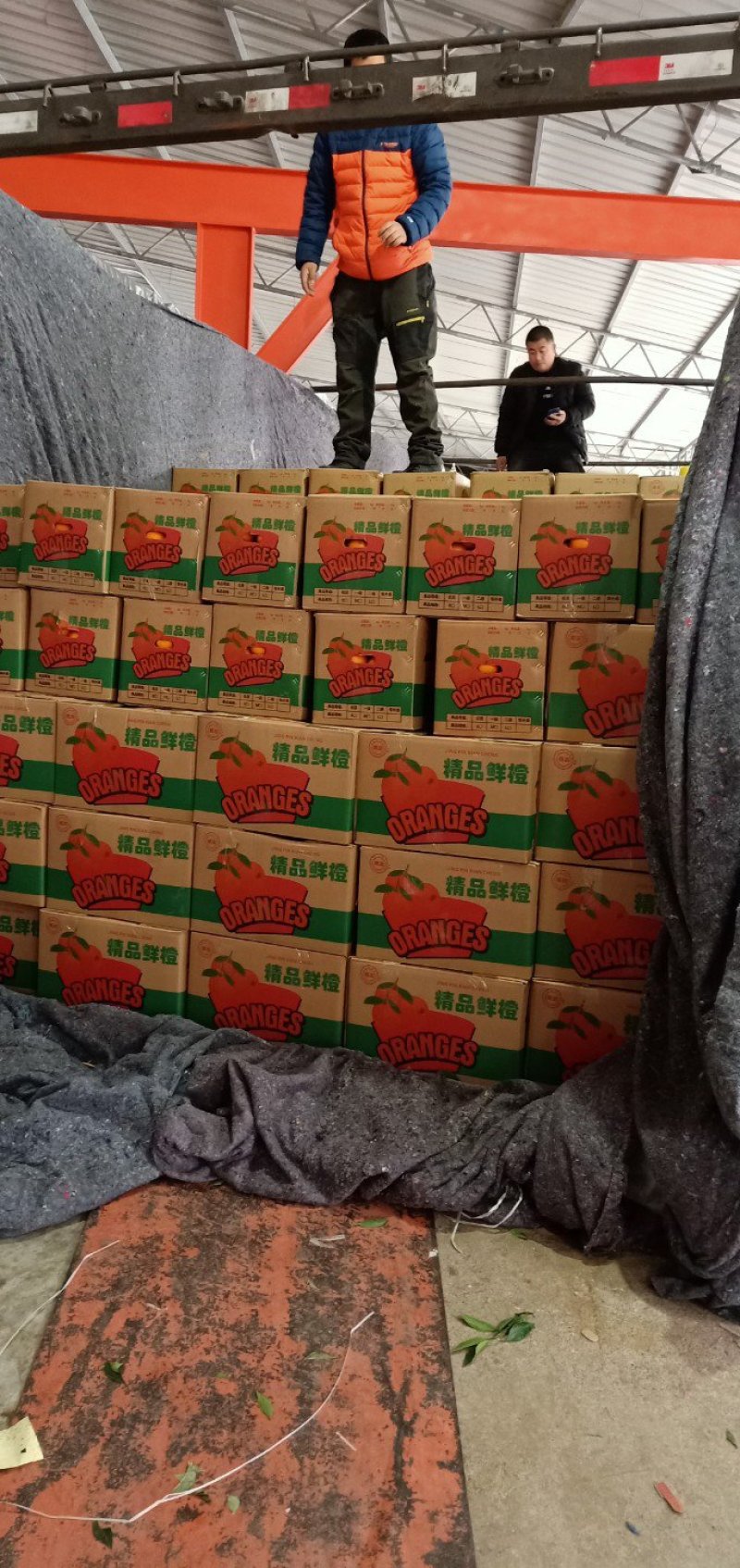 好山好水好脐橙产地直供一件代发