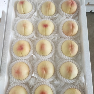 水蜜桃