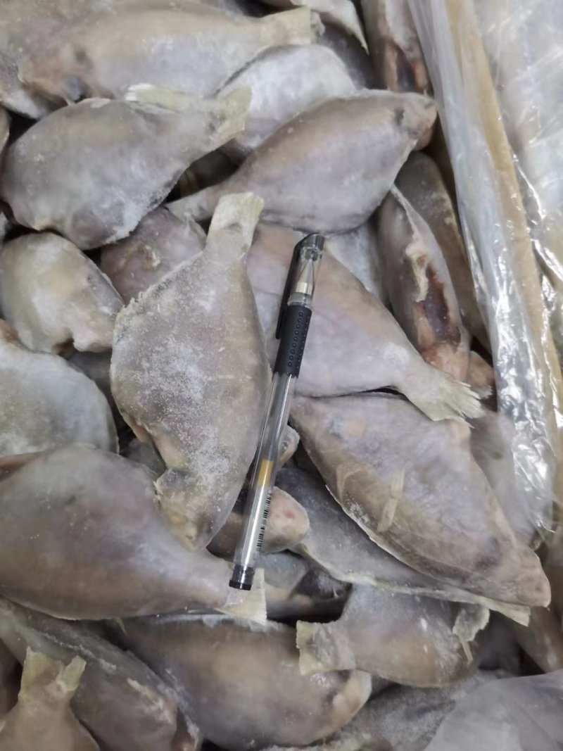 三去香鱼质量好价格美丽！一手货源，欢迎前来订购