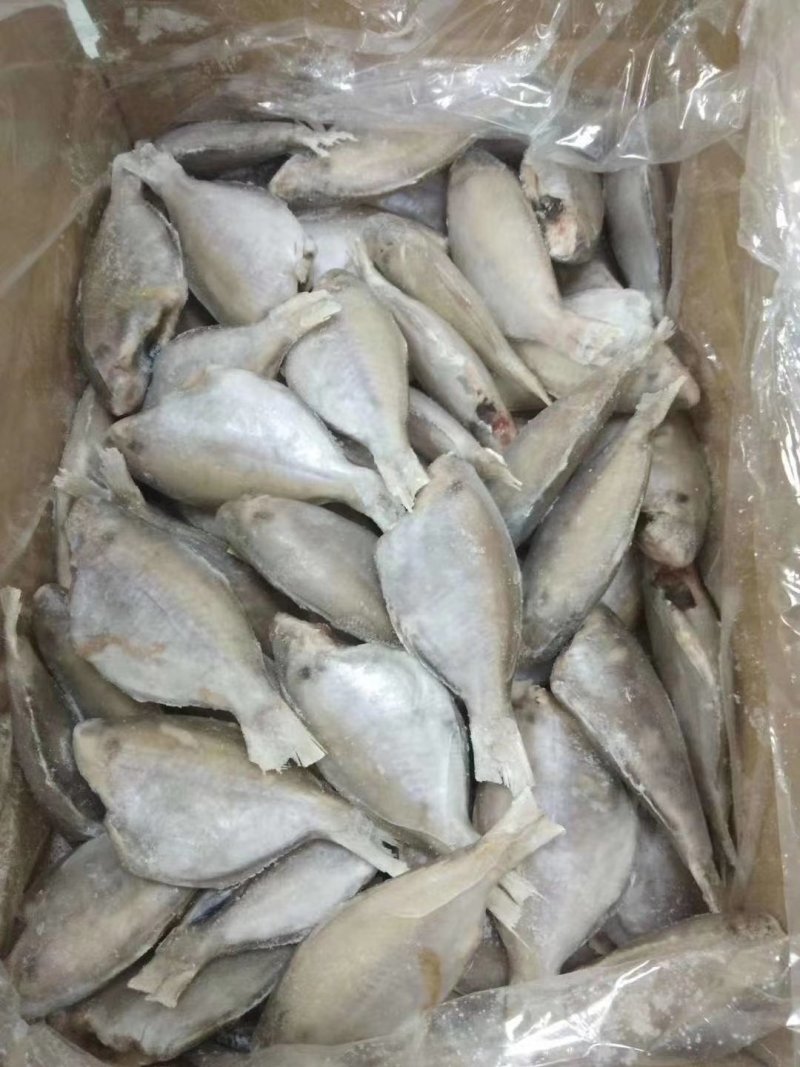 三去香鱼质量好价格美丽！一手货源，欢迎前来订购