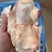 原装牛窝骨，牛膝盖骨，肉多筋满不肥，价格合适，手续齐全