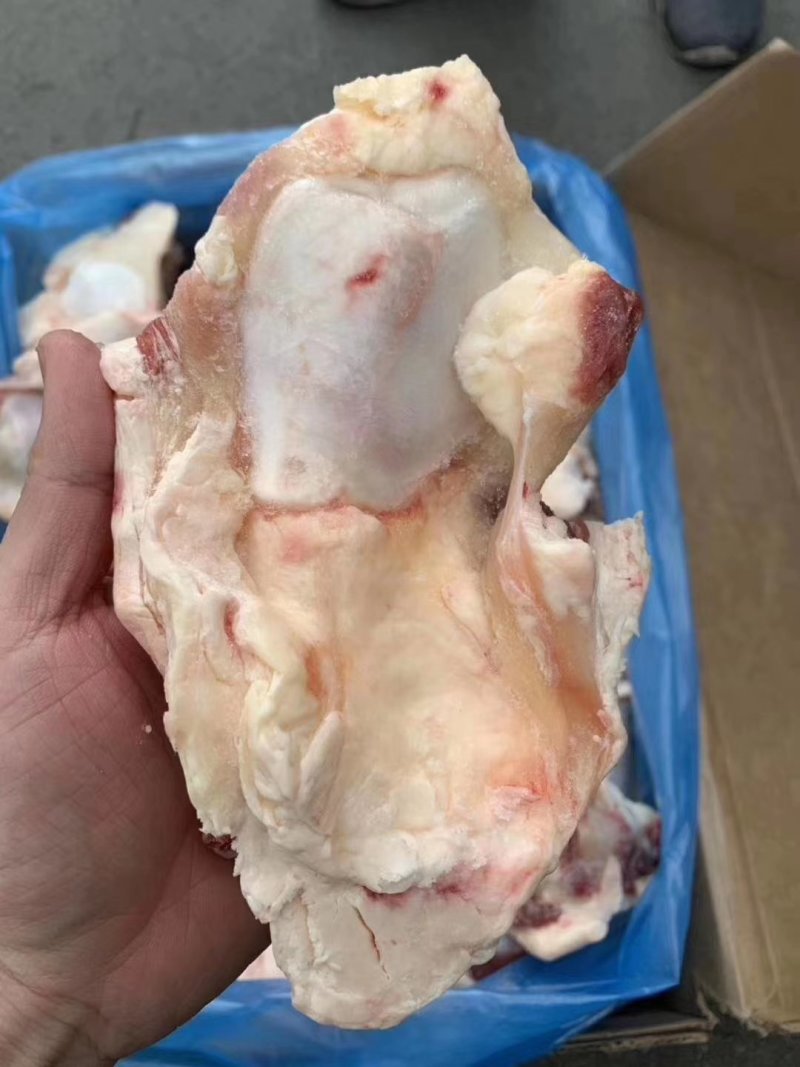 原装牛窝骨，牛膝盖骨，肉多筋满不肥，价格合适，手续齐全