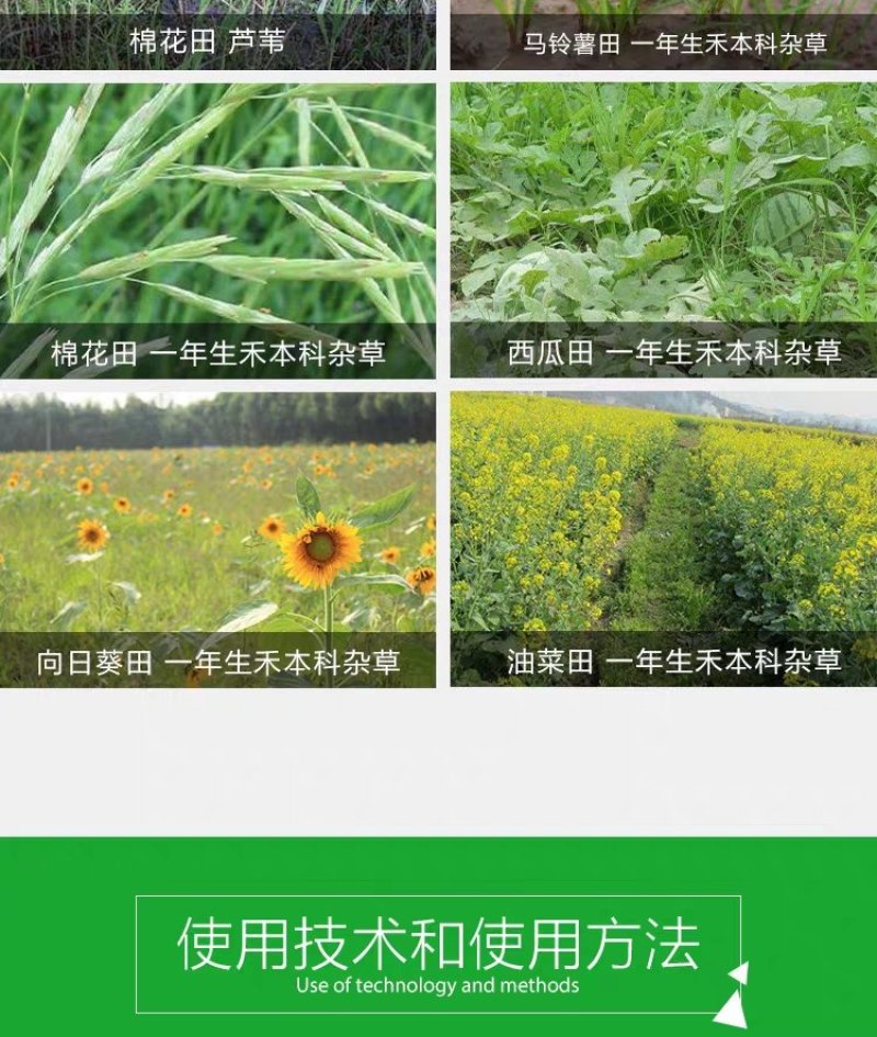 田兴旺20%草铵膦草铵磷除草剂草胺磷精粉透明高浓稠型精品