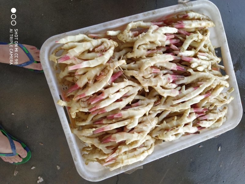 乐山冠英精品仔姜开售啦！色白头红艳脆嫩味香浓！
