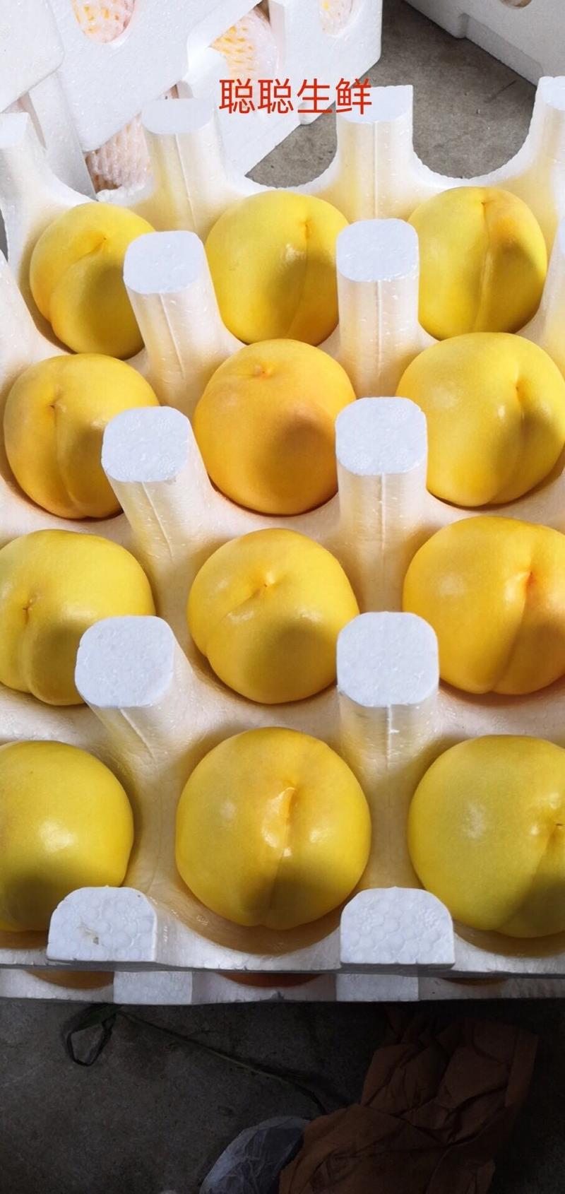 黄油桃，蒙阴露天30万亩中油油桃大量上市一件代发