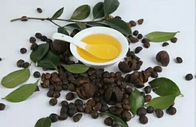 山茶油