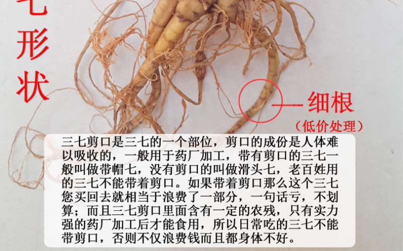 四年三七新鲜活泡酒三七一斤包邮