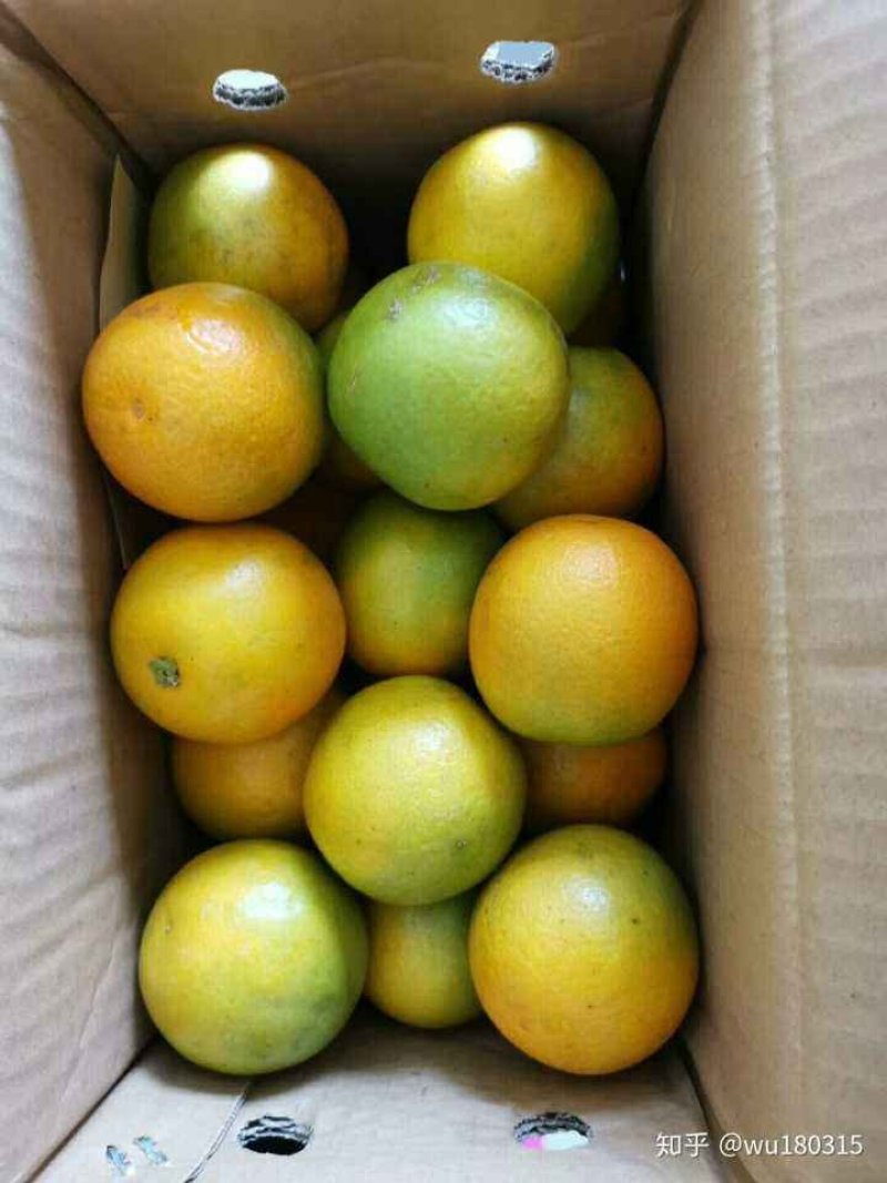 【优选脐橙】产地直供价格优势货源稳定，电商大量走单