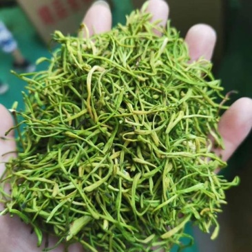 中药材/中药花类/金银花