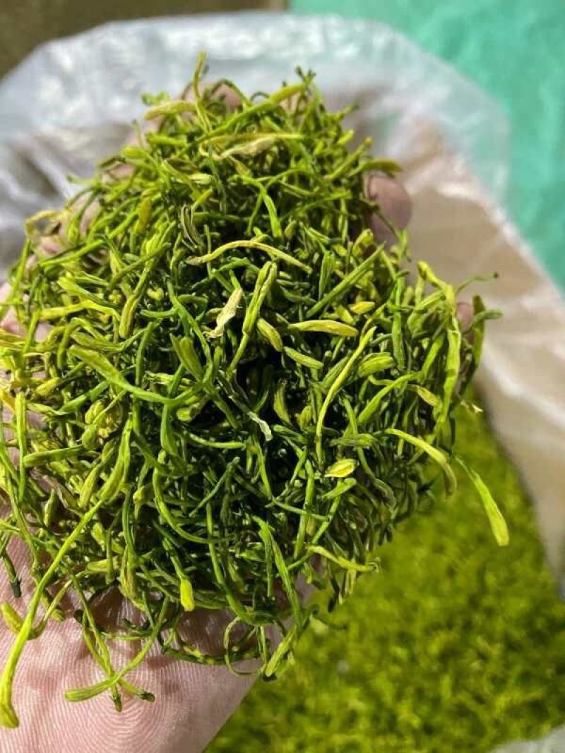 中药材/中药花类/金银花