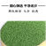 云南文山产地三七花四年三七花米1斤起包邮