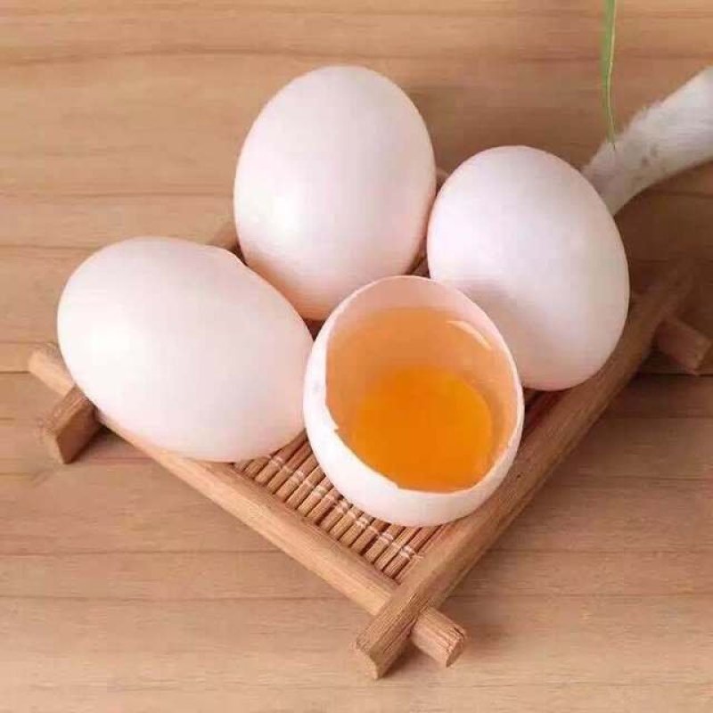 鲜鸽子蛋，支持一件代发，长年大量现货，寻长期合作老板