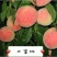 红不软毛桃70MM——80MM10斤装一件代发坏果包赔