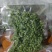 九叶青花椒鲜椒