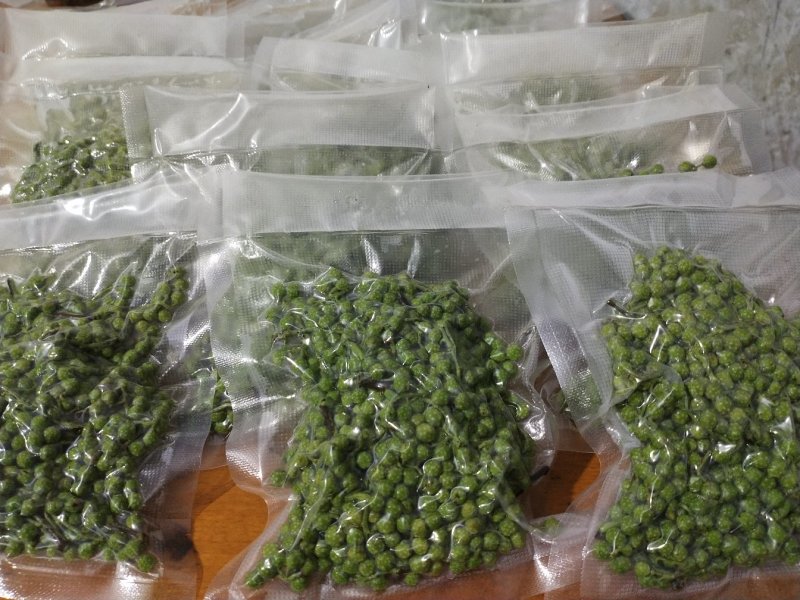 九叶青花椒鲜椒