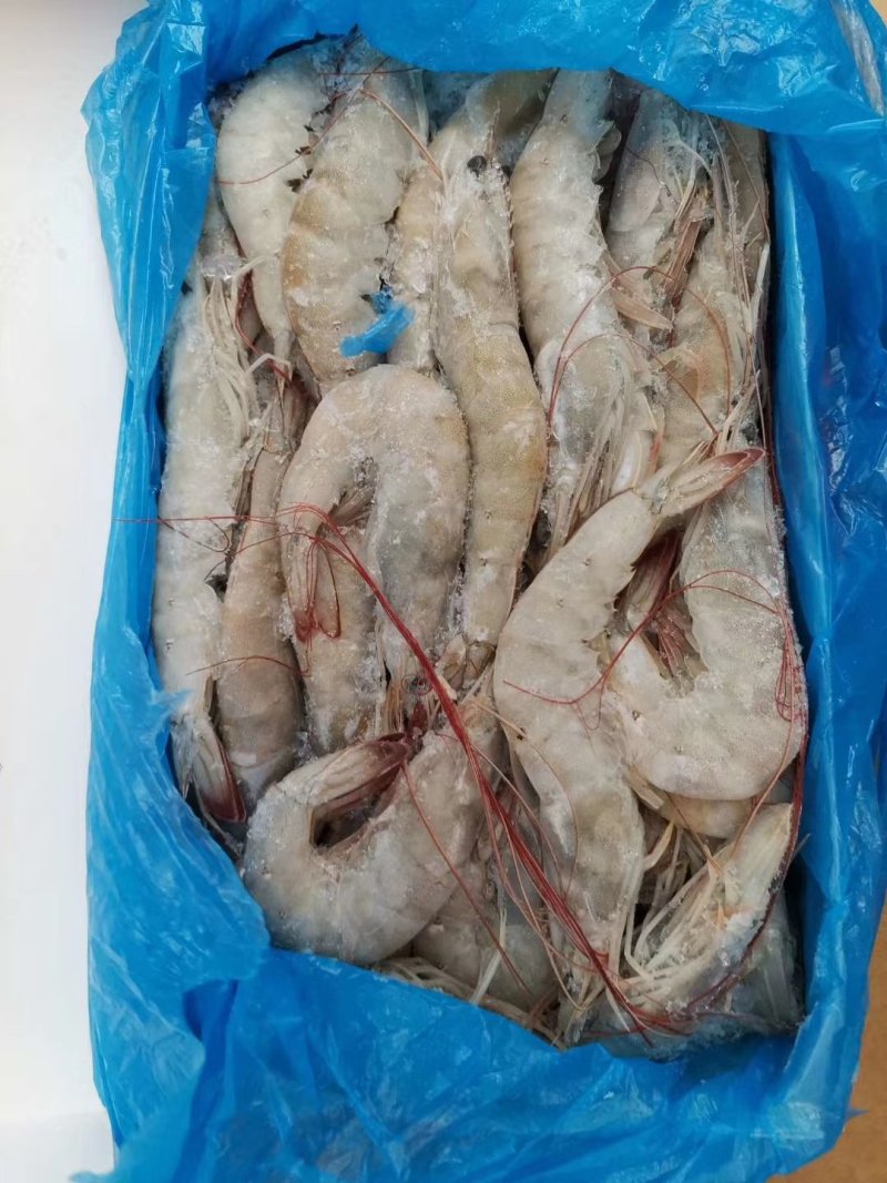 厄瓜多尔进口虾