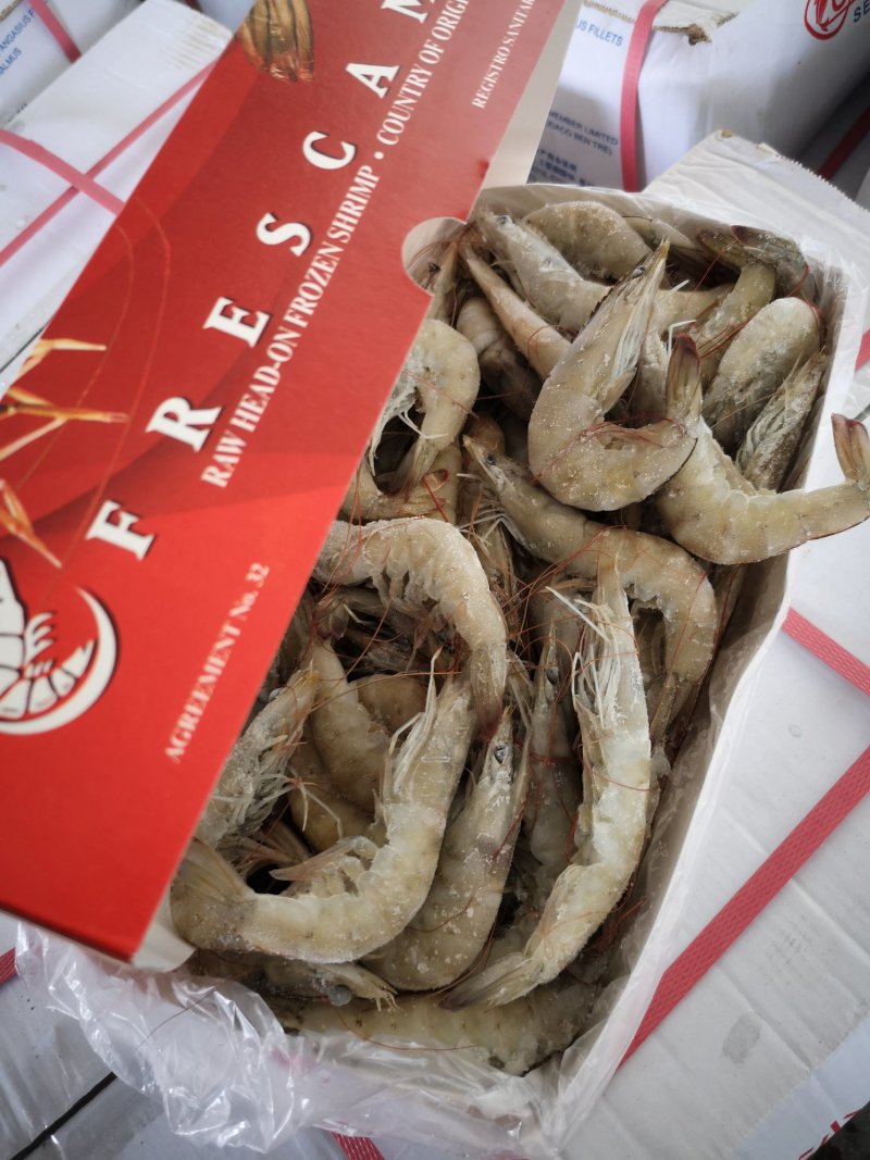 厄瓜多尔进口虾