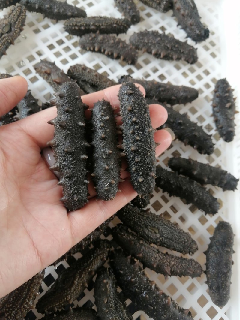 供应各大商庆婚庆酒店30-40头拉缸盐海参以及各类干参