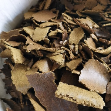 自榨菜籽饼黄饼，无水无油泥，干净无霉变