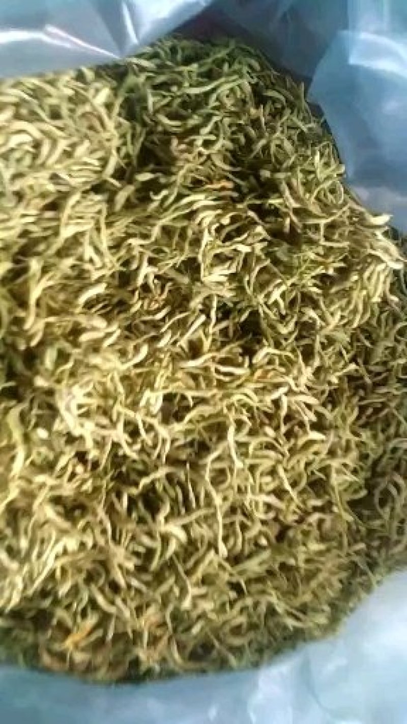金银花山东，基地自种，烤箱烘干，全部花蕾