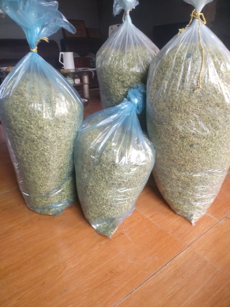 金银花山东，基地自种，烤箱烘干，全部花蕾