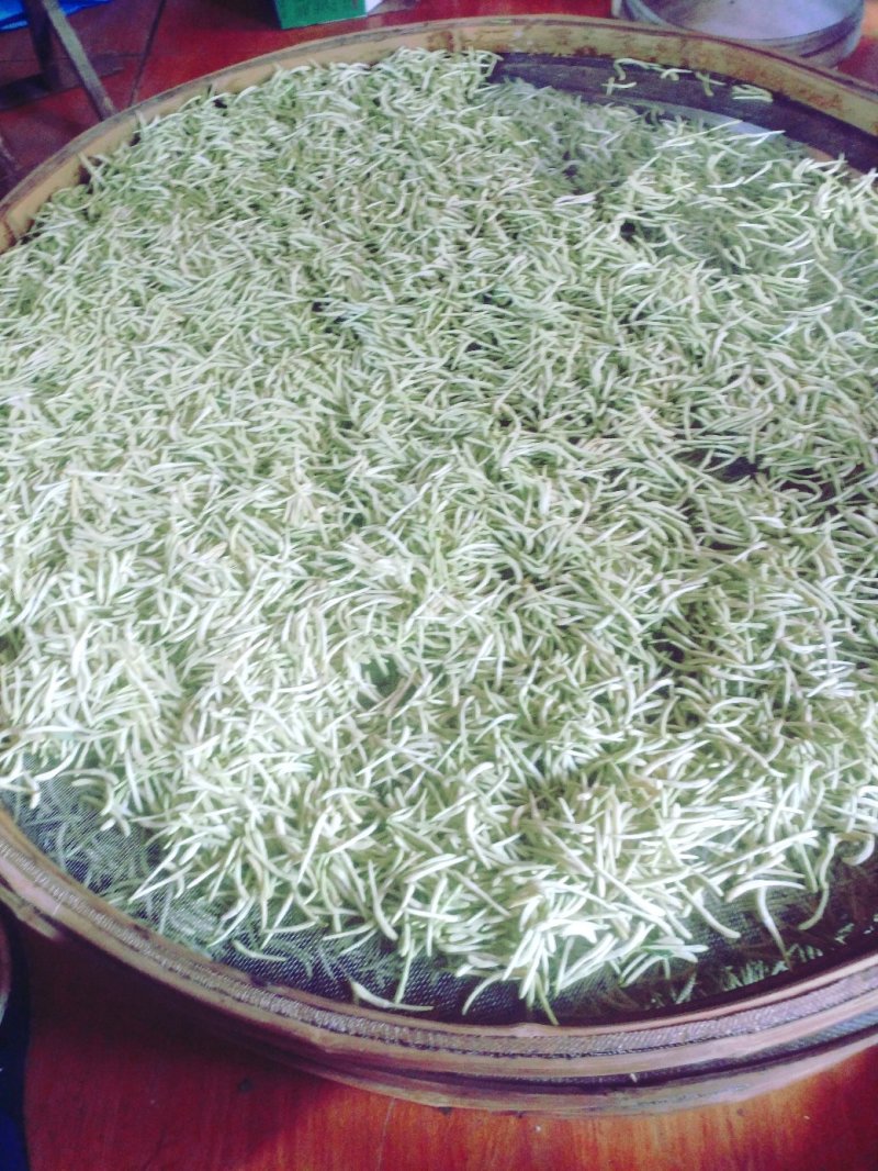 金银花山东，基地自种，烤箱烘干，全部花蕾