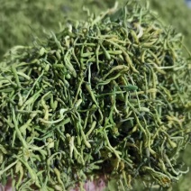 小米花，金银花优质小米花，小米花优惠大酬宾