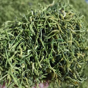 小米花，金银花优质小米花，小米花优惠大酬宾